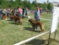 /album/vystavy/img-0983-jpg/